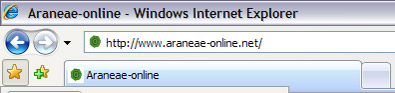 Eingabe Fenster Internet Explorer 7