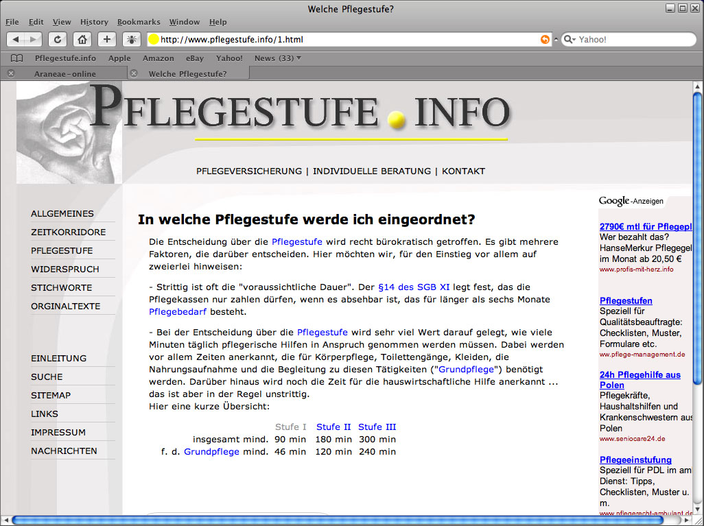 Darstellung in der Beta Version von Safari 3.02