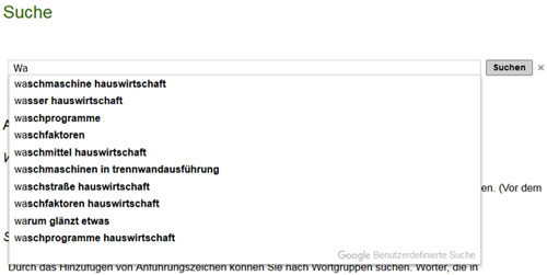 Autovervollstaendigung bei der Google-Suche