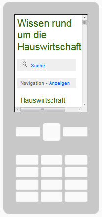Darstellung Hauswirtschaft.info