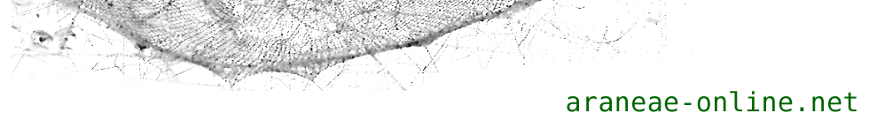 Logo Araneae-online
